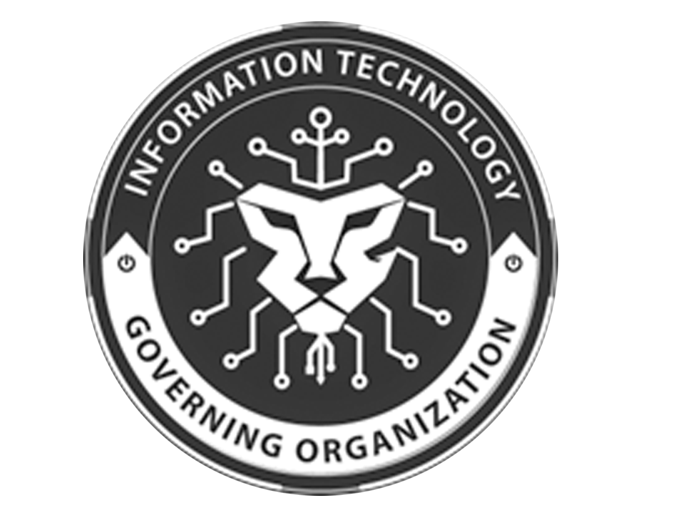 INFORMATION TECHNOLOGY GOVERNING ORGANIZATION